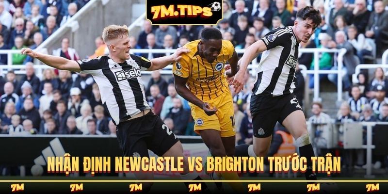 Nhận định Newcastle vs Brighton trước trận